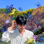 [ZB1] 와 금손 제로즈 왤케 많아 너무 예뻐 진짜 <b>요정들</b>임