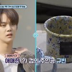 [ZB1] 애매한 건 규빈이라니 ㅋㅋㅋㅋㅋㅋㅋㅋ