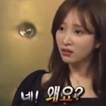 불<b>수능</b> <b>물수능</b>도 문젠데 영어는