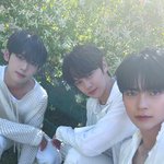 [ZB1] 한빈이 타투 미치겠다