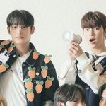 [ZB1] 당근차이 뭐야ㅋㅋㅋㅋ