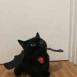 [TXT] 한때 <b>깜냥</b>이만 보면 태현이 떠오르는 병이 있었다