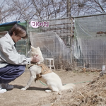 [TXT] 밤멍이