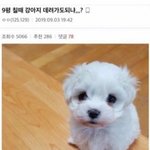 이종석은 <b>수지</b> 좋아하다가 아이유한테 간건가