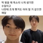 [엔하이픈] 수달 그리고 <b>해달</b>