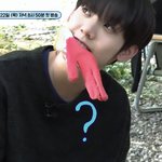 [ZB1] 금쪽잼민 <b>한유진</b>
