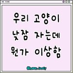 저희집 고양이가 이상하게 <b>자요</b>..ㅜㅜ