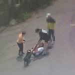 계속 공격" 목줄 없이 방치 '개물림 사고' 낸 30대 <b>견주</b> 송치