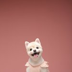 귀염둥이 <b>김봉숙</b>