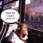 <b>히</b><b>발</b> 에어팟 케이스