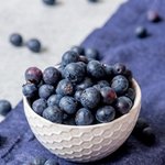 블루베리 <b>처돌</b>이 여기요