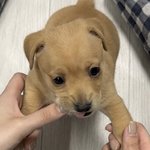 [댓글부탁해] 마스크 <b>벗</b>고나서 애들 입냄새 ㅈㄴ신경쓰임…