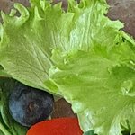 [몬스타엑스] 샐러드몬<b>민수</b>