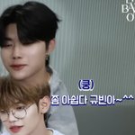[ZB1] <b>개털</b>즈 말 놓았나봐