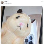 [ZB1] <b>뚱</b>쭝햄 계정 생김 ㅋㅋㅋㅋㅋ