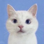 [드루와] 나 <b>무인</b>문구점에서 계산 안하고 걍 가져옴…