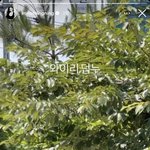 [댓글부탁해] 닝닝 한국인<b>패치</b> ㄹㅈㄷㅋㅋㅋㅋ