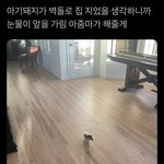 너네는 최애 살찌면 탈빠 바로 하는 편임?