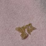 <b>짱</b>큰<b>귀</b>밥