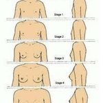 [댓글부탁해] 나 가슴이 너무 작은데 어캄