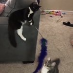 [TXT] 뭔가 내기준 찐<b>형제</b>=멍멍즈 /냥냥즈