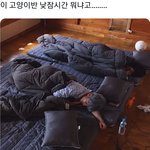 [TXT] 고양이반 낮잠시간