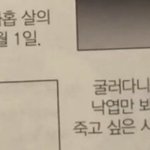 지금 <b>스카</b>에 사람 많을까?