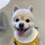 귀염둥이 <b>김봉숙</b>