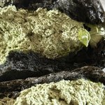 [댓글부탁해] <b>연세</b>우유 말차 드디어…