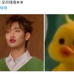 [ZB1] 강경 <b>오리</b>파들 다 일어나