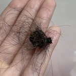 결국 나 머리 <b>자름</b>…