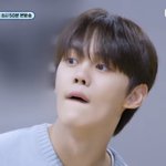 [ZB1] 아 <b>똥강아지</b>력 과하다