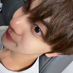 [ZB1] 우리집 강아지 건강 강아지