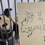 [댓글부탁해] 내일 알바 면접가는데