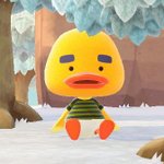 [ZB1] 웩원 ㄹㅇ 중간이 없는 회사다