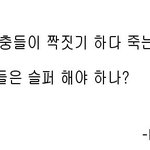 [톡톡] 노총각의 비애.