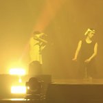 [TXT] 냥냥이들 놀라는거봐ㅋㅋ