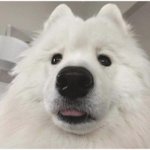[드루와] 쌍수한다고 다 예뻐지는건 아님