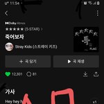 [스키즈] ⭐⭐⭐⭐공지 테이들