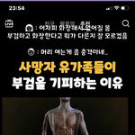 [댓글부탁해] 아니 근데 나만 그러냐…? 인간 장기를 실제로 보고싶어