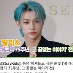 [스키즈] ㅂㄱㄹ 행사 영상 엄청많네