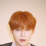 <b>최연준</b> 머리뭐냐
