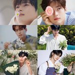 [ZB1] 성한빈 어떻게 <b>퍼</b><b>컬</b>이 꽃이야