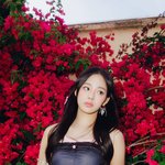 뉴진스 이 사진 예쁘다