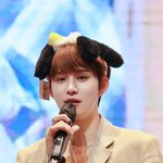 내 최애 <b>얼굴</b> <b>자랑</b> 좀 할게요