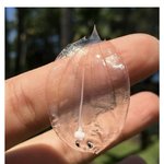 <b>광어</b> 치어 개귀엽게 생김