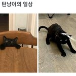 [TXT] 아이고 텬냥아
