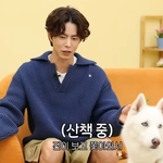 길거리 캐스팅 당한 강아지