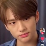 [스키즈] <b>하민</b>선배가 누구냣?