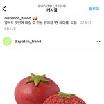 더<b>벤티</b> 토마토빵 봤냐